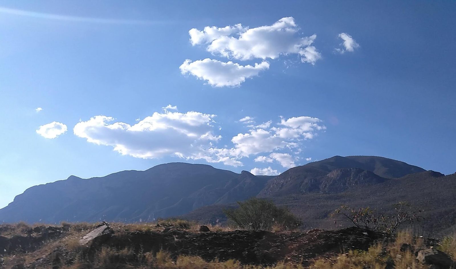 Sierra Madre del Sur, Oaxaca